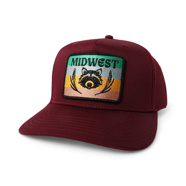Midwest Racoon Hat, Dots