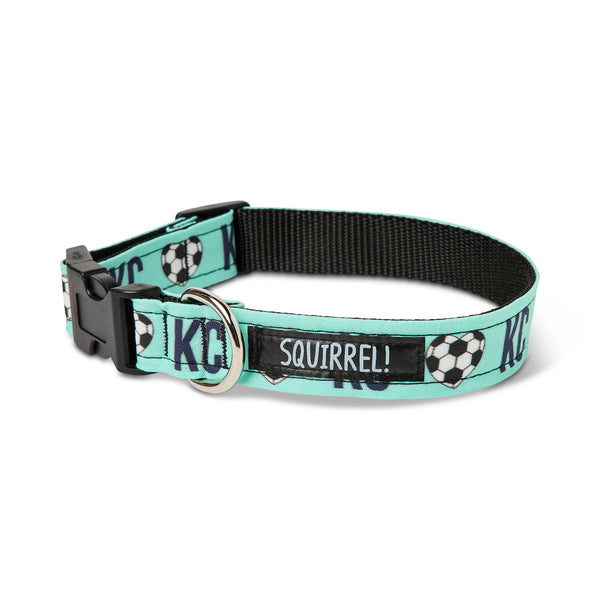 KC Current Dog Collars, Squirrel!
