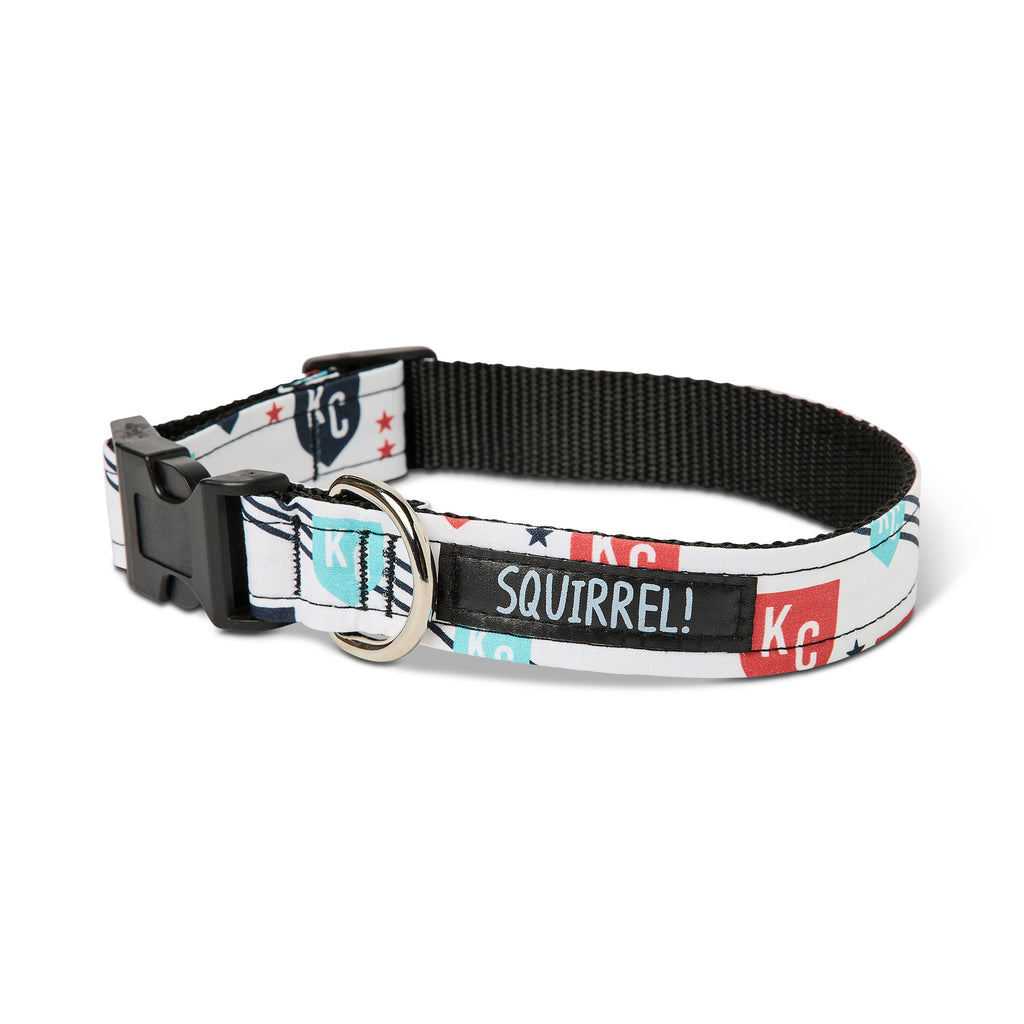 What Experts and Industry Advice Say About Dog Collars