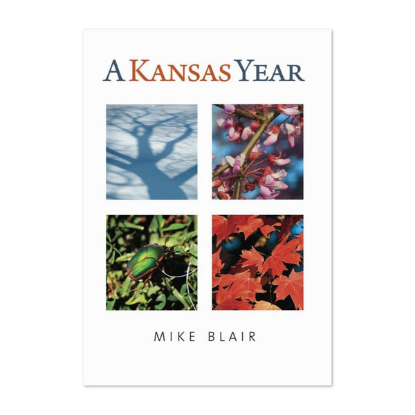 Ein Kansas-Jahr